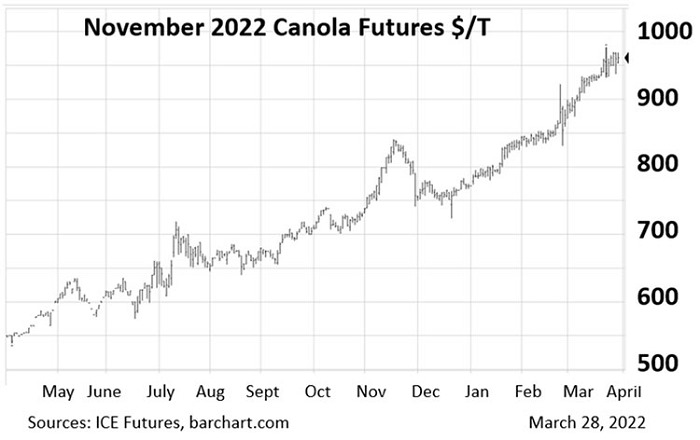 November 2022 Canola Futures